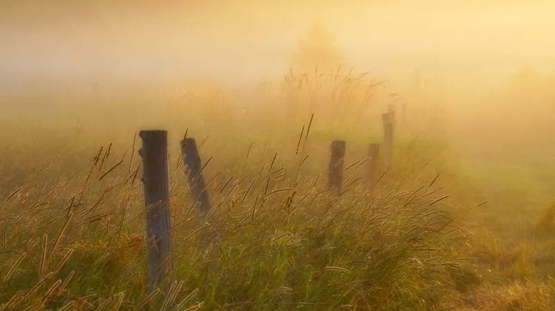 What the Trash Truck Taught Him: The Unlikely Eye Behind America's Most Celebrated Landscapes